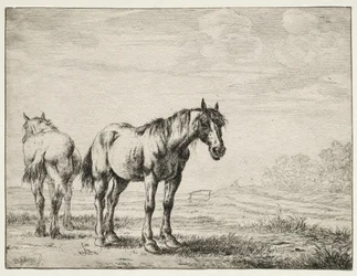 Twee ploegpaarden