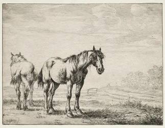 Twee ploegpaarden