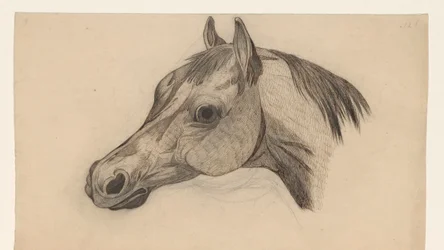 Kop van een paard, naar links