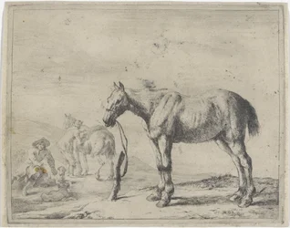 Aan een paal gebonden paard naar links