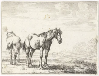 Twee paarden in een landschap Paarden
