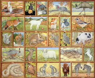 Alfabetische Dieren