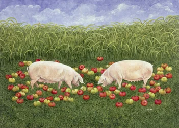 Appelzaaiers