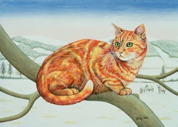 Kale Takken, Nr.1, 1994