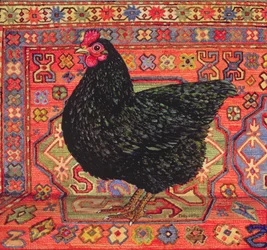Zwarte tapijtkip, 1995