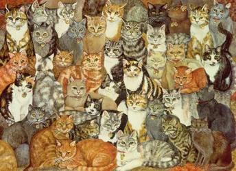 Kat-spreiding