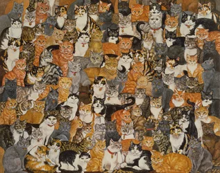 Dubbele Kat-Spread