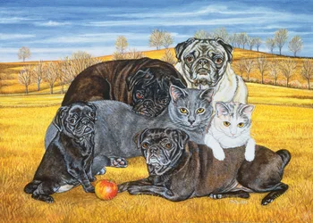 Hocking County Pug-Katten, 1995