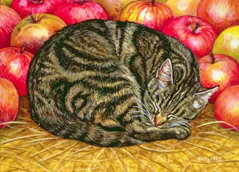 Linkerhand Appel-Kat, 1995