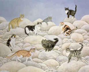 Lynn Valley-katten