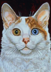 Minette, 1996