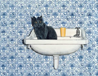 Mijn Badkamer Kat