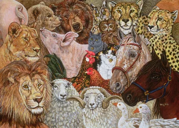 De Ark Verspreid, 1995