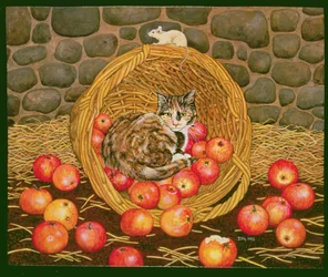 De mand-muis