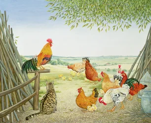 Het gevogelte en het poesje
