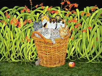De Montbretia-muis