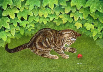 De Aardbei-Kitten, 1996