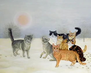 Winter-Katten