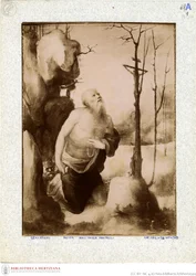 Beccafumi - Boetvaardige Hiëronymus, inventarisnr. 166