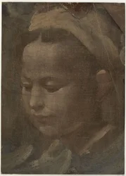 Hoofd van een jonge vrouw