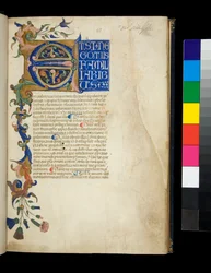 Ms 373. Pseudo-Cicero, Rhetorica ad Herennium, en andere werken, f.1r. Verlichte initiaal [E] en gedeeltelijke rand met acanthusblad en bloemversiering, de eerste regel van de tekst in witte hoofdletters op blauwe achtergrond