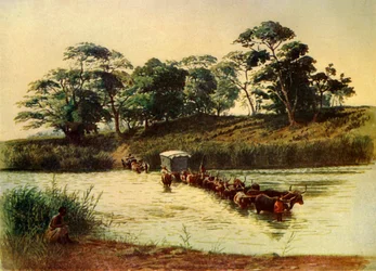 Ossenwagen die een drift oversteekt op de Umbelois-rivier, Swaziland, 1902