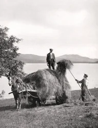 Hooi laden op een wagen aan de oevers van Loch Lomond, Schotland, 1924-1926