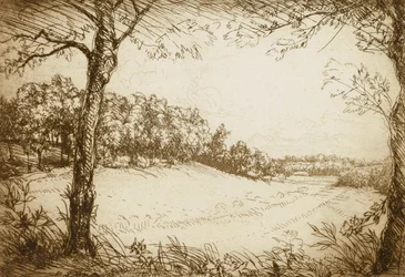Zomerochtend in Tennessee