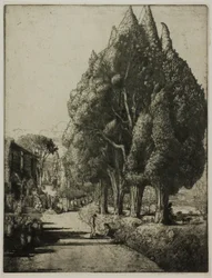 Het cipressenbos