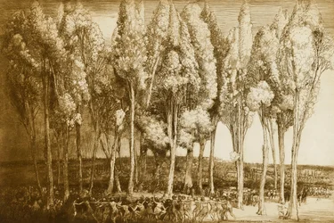 De dans van de lente