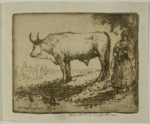 De witte os