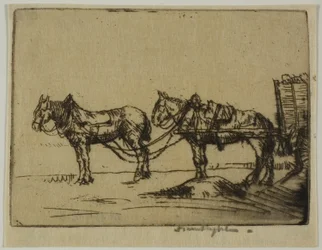 Twee paarden