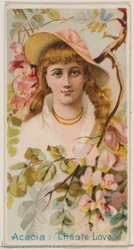 Acacia: Kuis Liefde, uit de serie Bloemen Schoonheden en Taal van Bloemen N75 voor Duk..., 1892