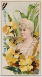 Gillyflower: Onvergankelijke Schoonheid, uit de serie Bloemenpracht en Taal van Bloemen N7..., 1892