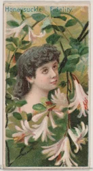 Kamperfoelie: Trouw, uit de serie Bloemenschoonheden en de taal van bloemen N75 voor D..., 1892