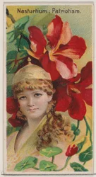 Oost-Indische Kers: Patriottisme, uit de serie Bloemen Schoonheden en Taal van Bloemen N75 voor ..., 1892