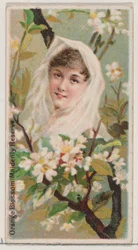 Sinaasappelbloesem: Maagdelijke Reserve, uit de serie Bloemenschoonheden en Taal van Bloemen ..., 1892