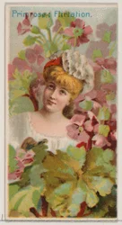 Primula: Flirtatie, uit de serie Floral Beauties and Language of Flowers N75 voor Du..., 1892