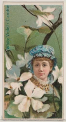 Witte viooltjes: Oprechtheid, uit de serie Bloemenschoonheden en de taal van bloemen N75 voor Du...