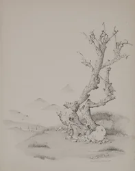 De koffer