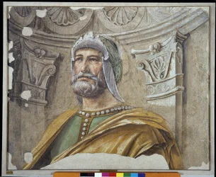 Man van Wapens met Baard en Helm