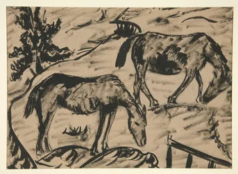 Paarden