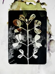 Aardse botanische vorm