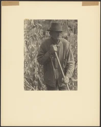 [Man met schoffel in sorghumveld].