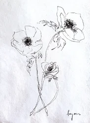 Fijne bloemenschets