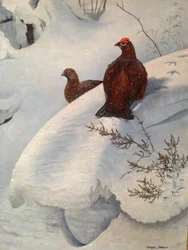Korhoen in de sneeuw, ca.1985 (olieverf op doek)