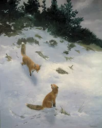 Liefde op het eerste gezicht, Vossen in de sneeuw