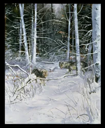 Wolven in een besneeuwd bos