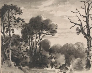 Compositie: De rand van een bos