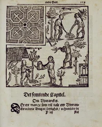Bomen planten, uit De Nederlandse Tuinman door Johann van der Groen, gepubliceerd 1699